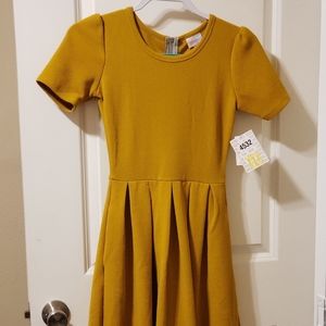 lularoe dress with tags never been worn